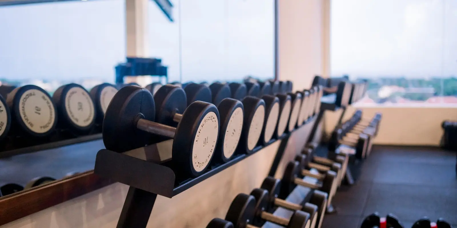 Dumbbell rack by the windows of the rooftop gym