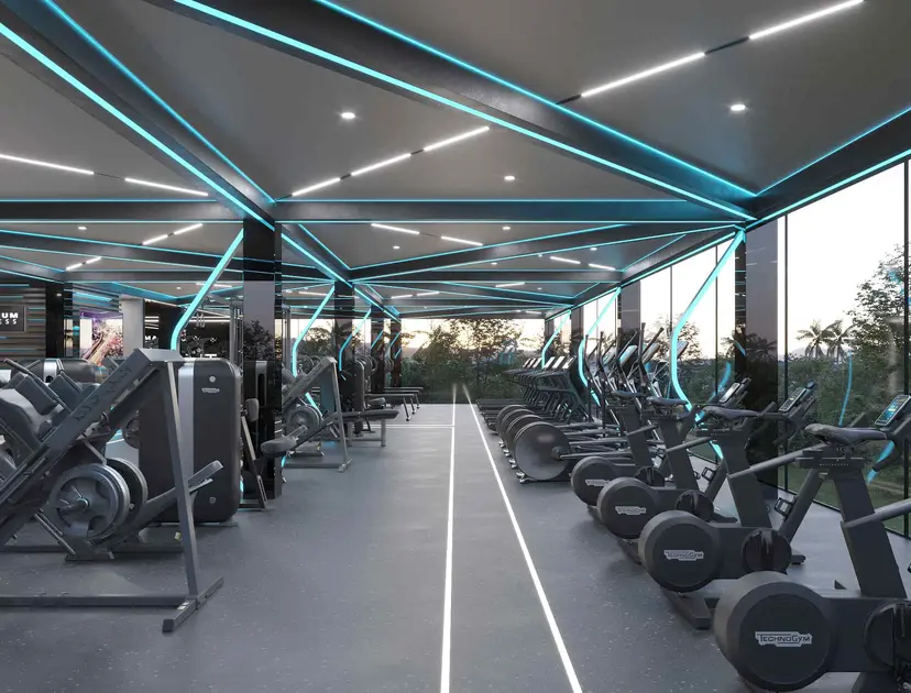 Panoramic gym